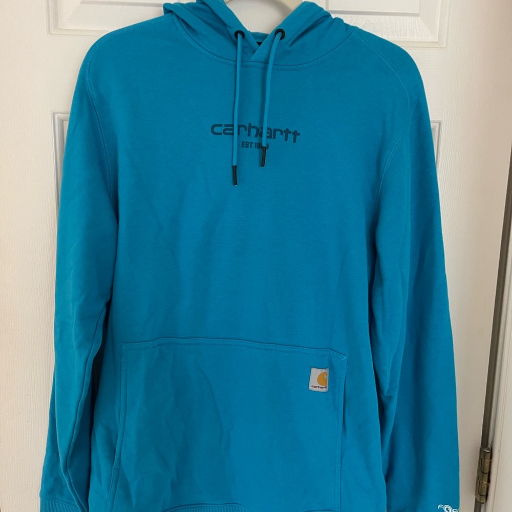 Carhartt Men's Teal Hoodie